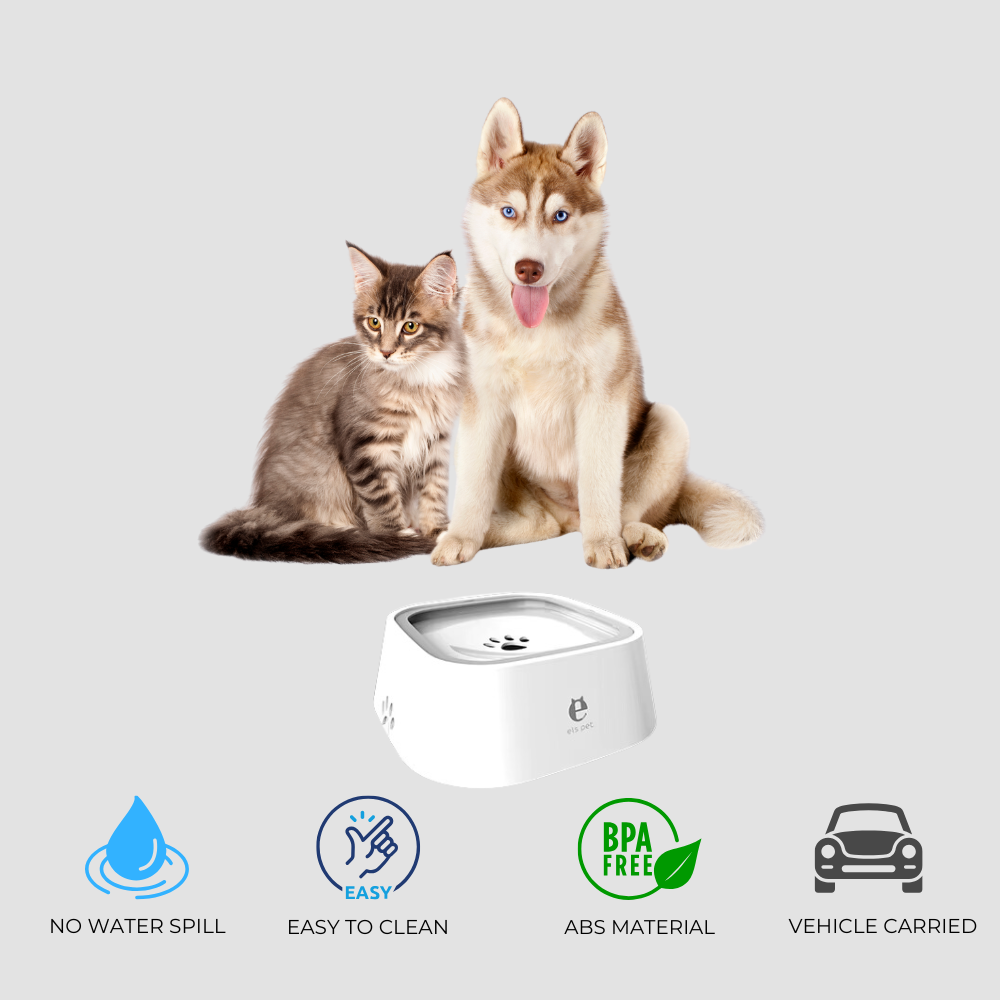 NO SPLASH PET BOWL