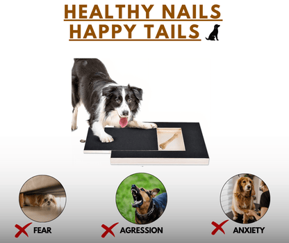 PURE PAW NAIL PAD – Stress-Free, Fun, and Safe Nail Grooming for Dogs