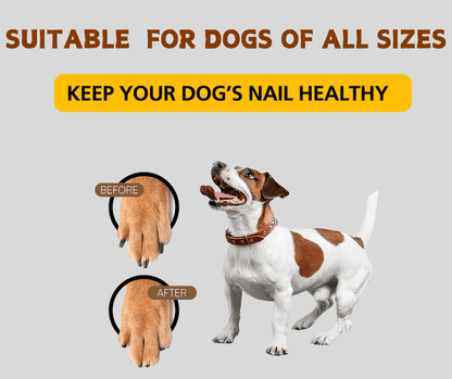 PURE PAW NAIL PAD – Stress-Free, Fun, and Safe Nail Grooming for Dogs