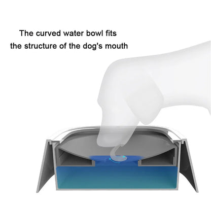 NO SPLASH PET BOWL